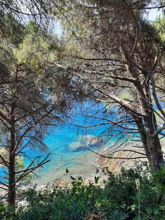 Appartamento Il Vicoletto La Spezia Buitenkant foto