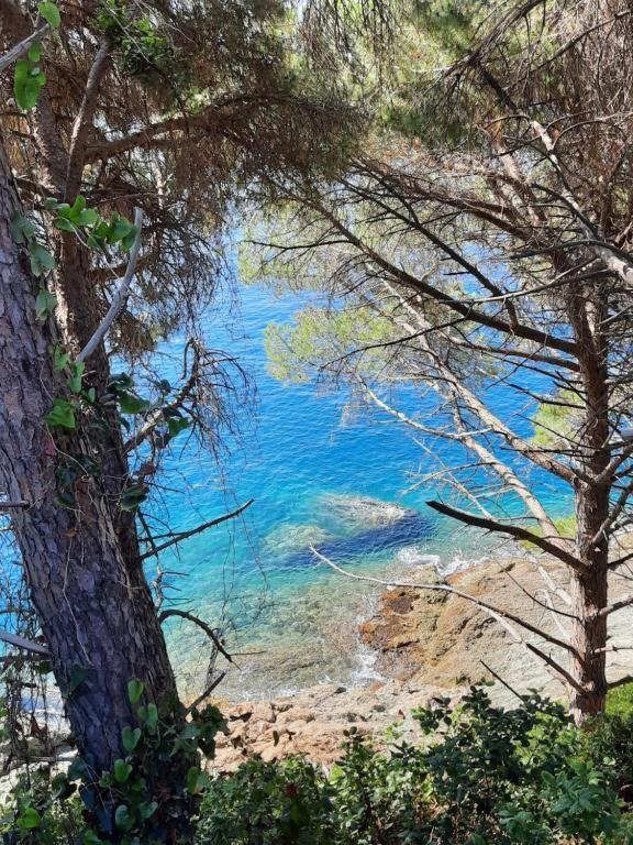 Appartamento Il Vicoletto La Spezia Buitenkant foto