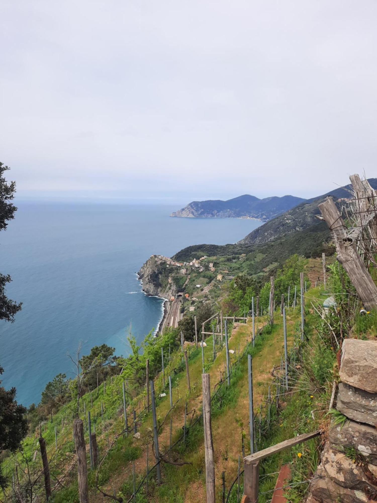 Appartamento Il Vicoletto La Spezia Buitenkant foto